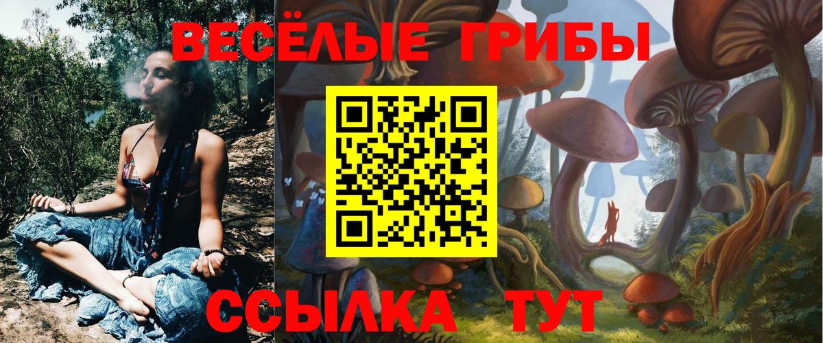 Псилоцибиновые грибы Psilocybine cubensis Гусь-Хрустальный