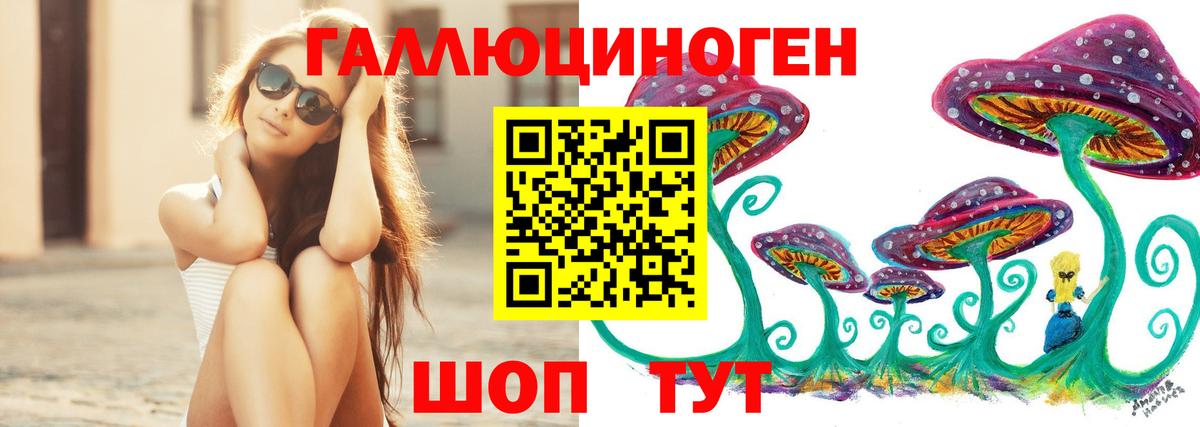 Гусь-Хрустальный  купить   Вход с VPN  Псилоцибиновые грибы Psilocybe  Галлюциногенные грибы мухоморы 